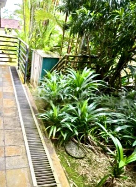 3 Bed Bungalow (Landed) for Sale in  Clementi Arcade - Image 5
